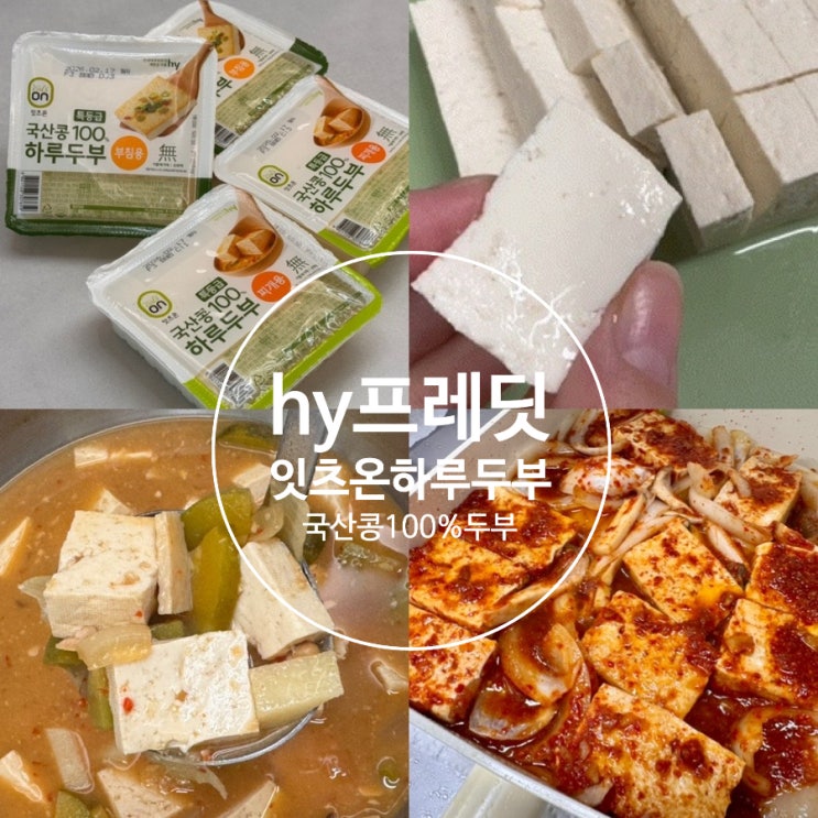  hy 프레딧 두부추천 잇츠온 특등급 국산콩 100% 하루두부 찌개용, 부침용 배송 후기 & 맛 후기