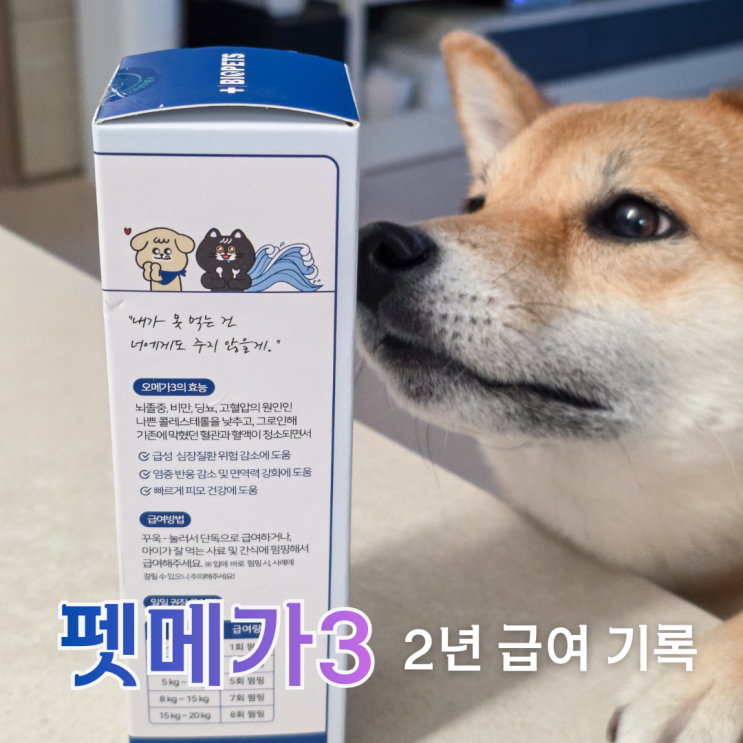  강아지 펫메가3 급여 기록, 23년 11월부터 이어온 시간