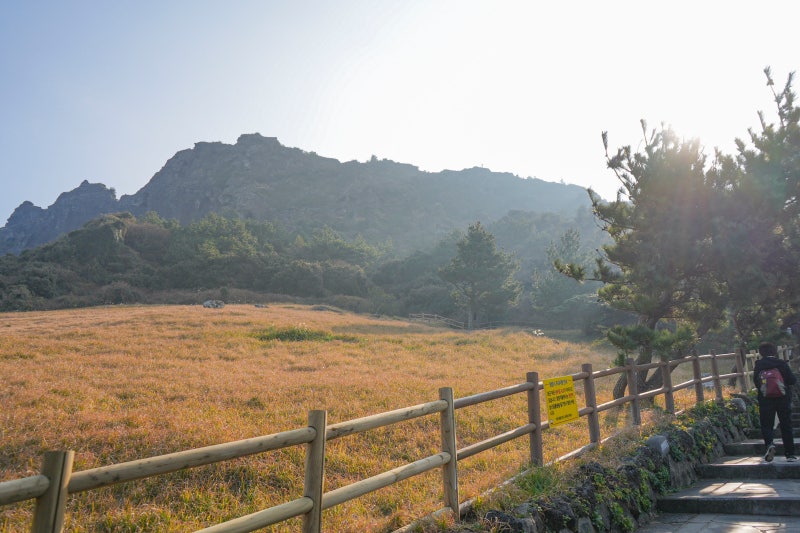 사진 5