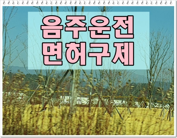  2004년 음주운전 0.075 수치 혈중알코올농도 재범 면허는