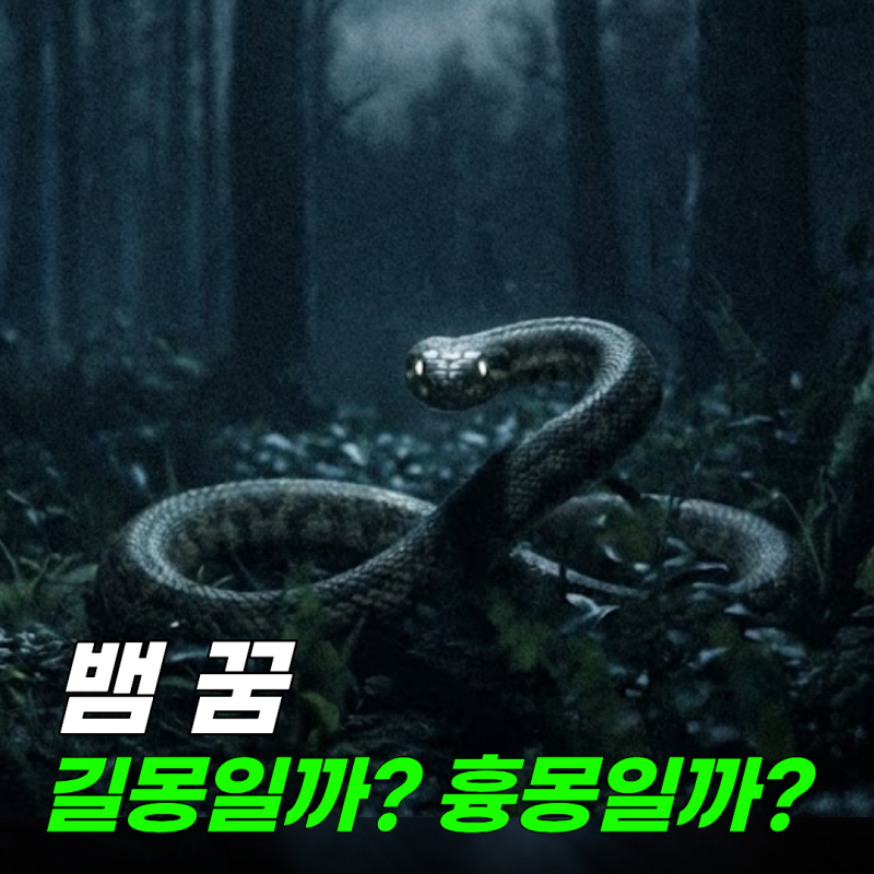 뱀 나오는 꿈 해몽, 큰뱀·빨간뱀 뜻 충격적인 이유