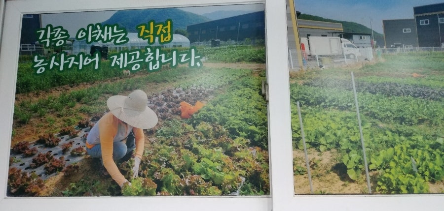 게르마늄생고기 사진 6