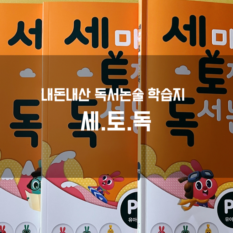  내돈내산한 아이의 독서논술을 위한 문제집｜세토독P단계 (세마리 토끼잡는 독서논술)