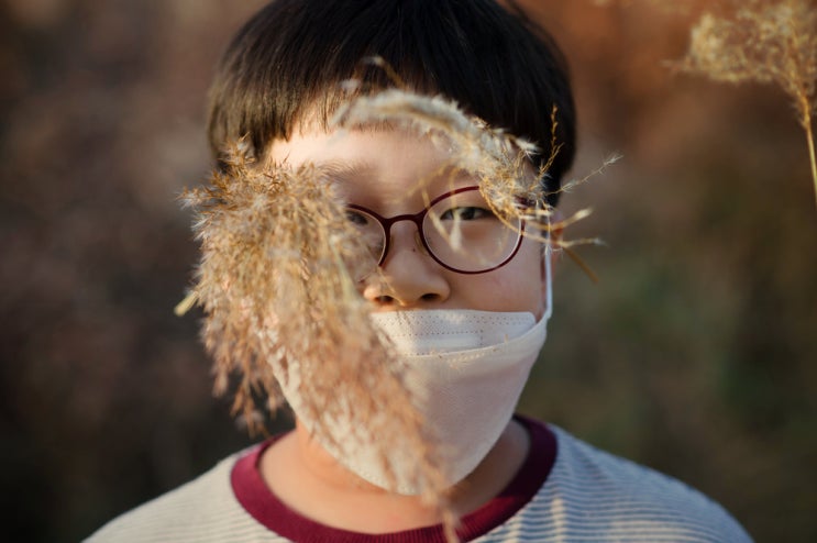  다산 은행나무숲｜가을에 가볼만한곳, 가을산책 추천장소