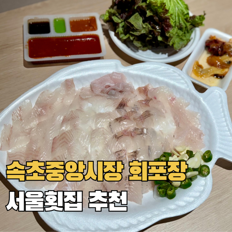  속초중앙시장회포장서울횟집 가성비 좋은 속초회맛집