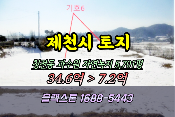  제천시 청전동 토지 경매 과수원 5천평 지상권말소동의