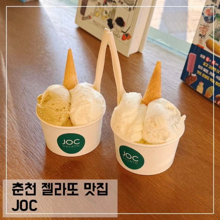  춘천 젤라또 맛집 JOC 젤라또