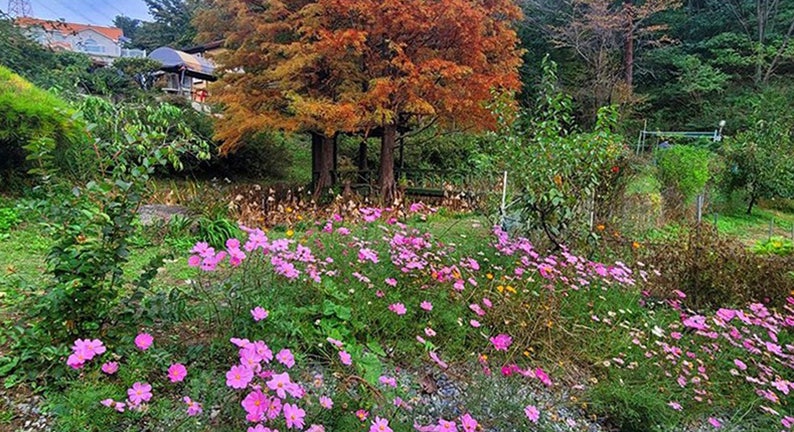 사진 6