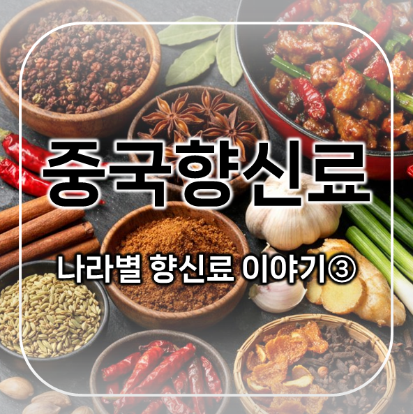  중국향신료 편 | 나라별 향신료 이야기 3 | 중식의 향을 만드는 재료들