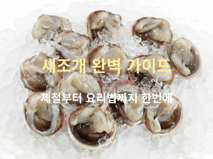 새조개 제철 언제까지? 효능·요리·보관·고르는 법 완벽 정리
