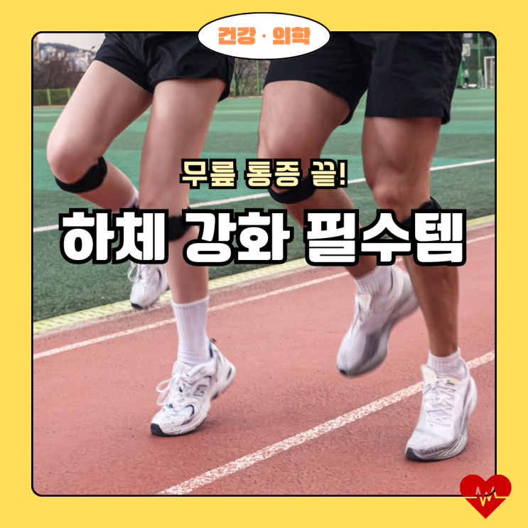  무릎 관절 보호 하체 운동법 & 바로핏 무릎보호대 추천