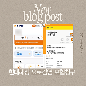 아기 요로감염 보험청구 신우신염 대학병원 병원비 현대해상 청구방법