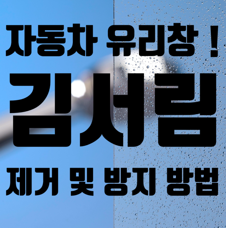  차 유리 김서림 제거 방법 (겨울에 앞유리 뿌옇게 되는 이유)