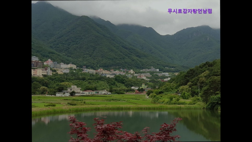무시로감자탕 언남점 사진 5