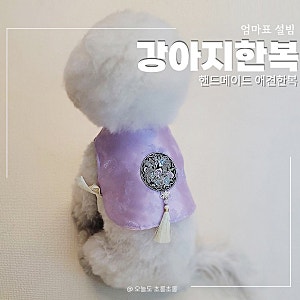 강아지 한복 조끼 엄마표 설빔 애견한복 만들기