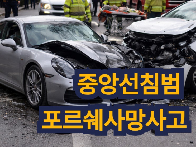  중앙선침범 포르쉐사망사고