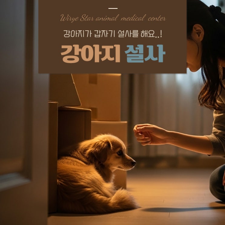  강아지 갑자기 설사하는 원인, 이런 증상은 바로 병원으로!