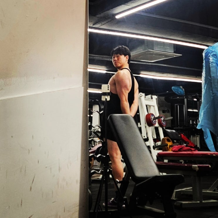 260211 삼두 이두 3분할 운동루틴 식단관리 체형분석