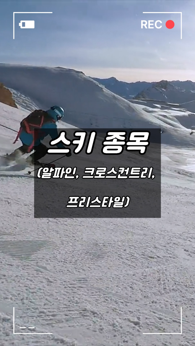  동계 올림픽 스키(Skiing) 종목 알파인, 크로스컨트리, 프리스타일의 정확한 뜻과 유래