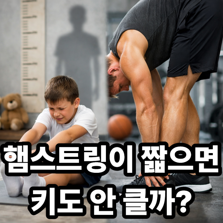 햄스트링 단축이 키 성장에 영향 줄까｜다리 스트레칭과 키의 관계