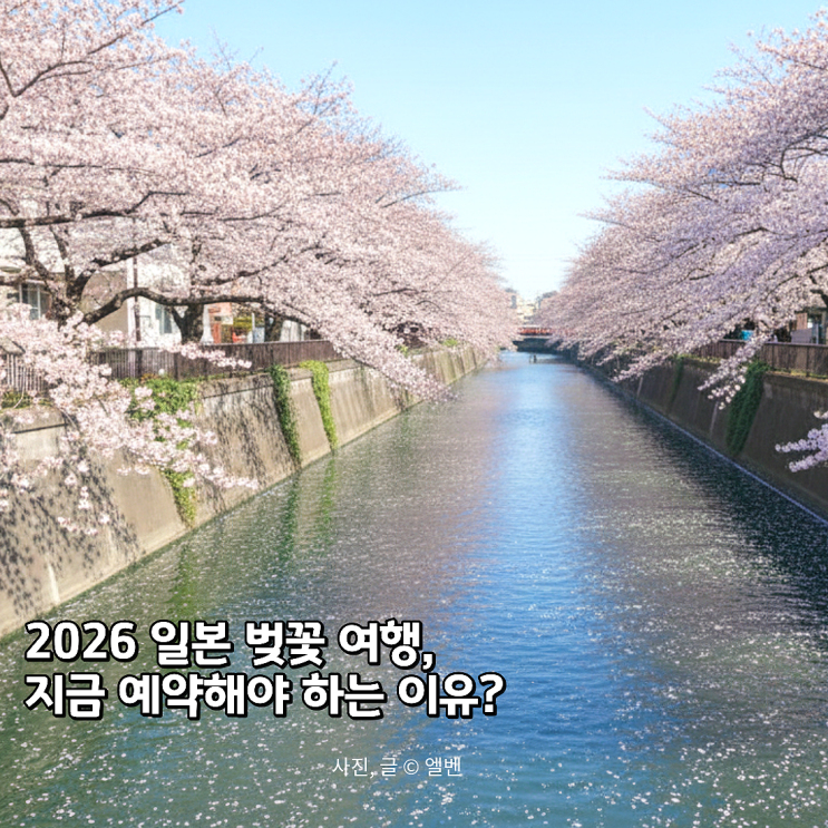  2026년 일본 벚꽃 개화 시기 총정리, 지금 예약해야 하는 이유