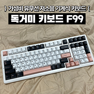 독거미 키보드 f99 오테뮤 저소음 피치축 솔직 후기