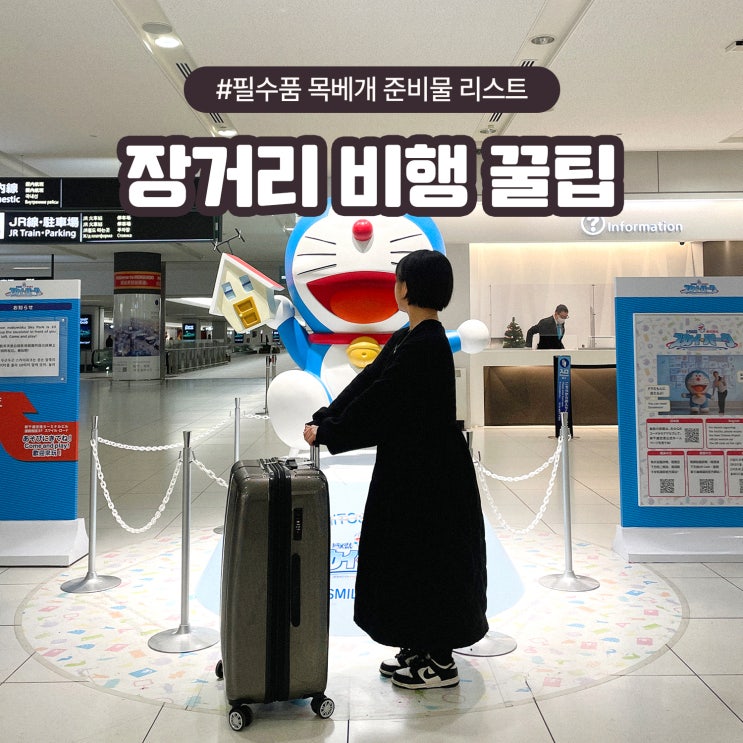  장거리 비행 꿀팁, 필수품 목베개 준비물 리스트