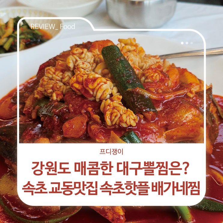  강원도 매콤한 대구뽈찜은? 속초교동맛집 속초핫플 배가네찜
