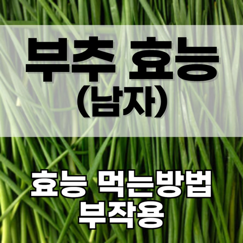부추 효능 남자 복용법 부작용 권장량