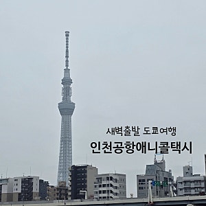 인천공항 택시 요금 도쿄여행 인천새벽출발 애니콜택시