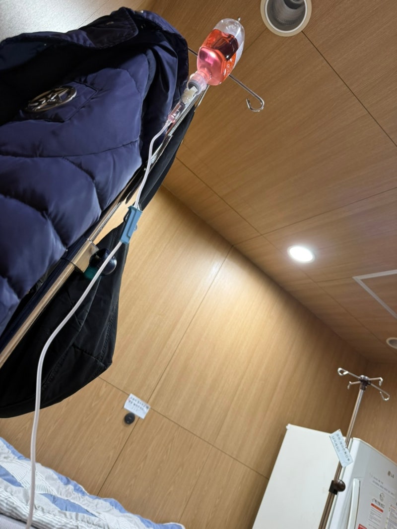 성인 고열 39.5도 인후염