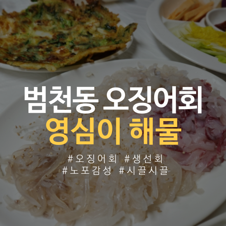  범천동 영심이 해산물 오징어 횟집 오징어회 맛집 노포감성 (썩은다리, 범일동)