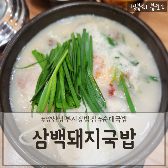  양산남부시장밥집 양산국밥맛집 양산아침식사추천 '삼백돼지국밥'