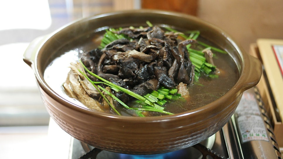 장수버섯마을 사진 3
