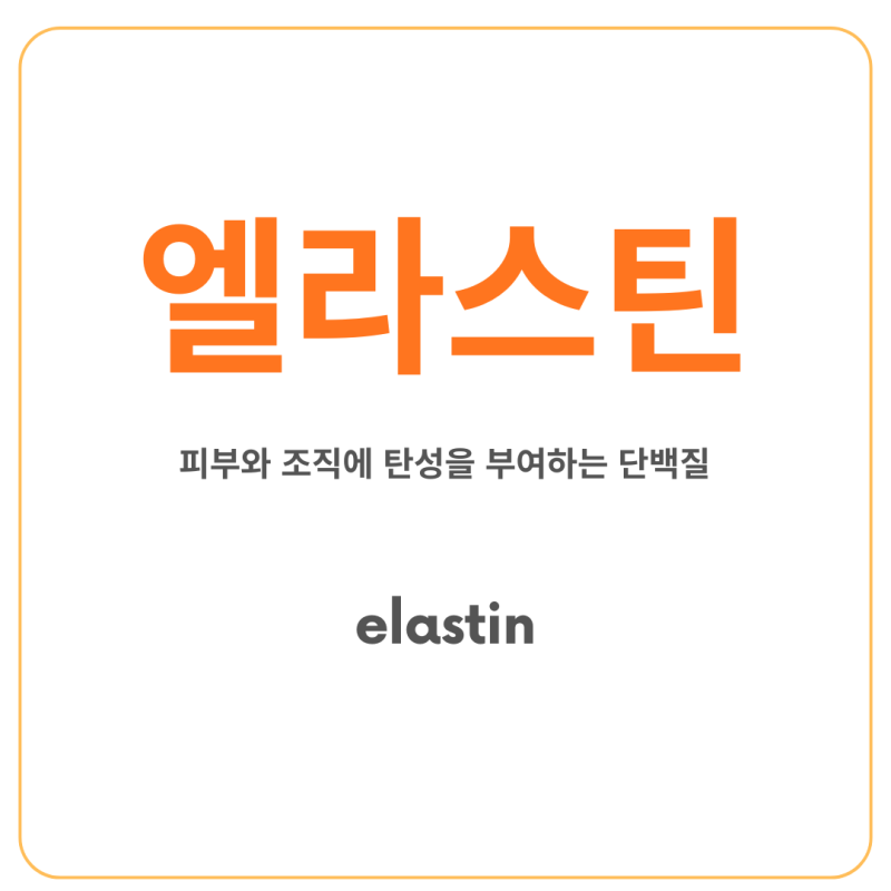 엘라스틴, 피부를 다시 돌아오게 만드는 탄성 성분 - 그게 그런 뜻이었구나