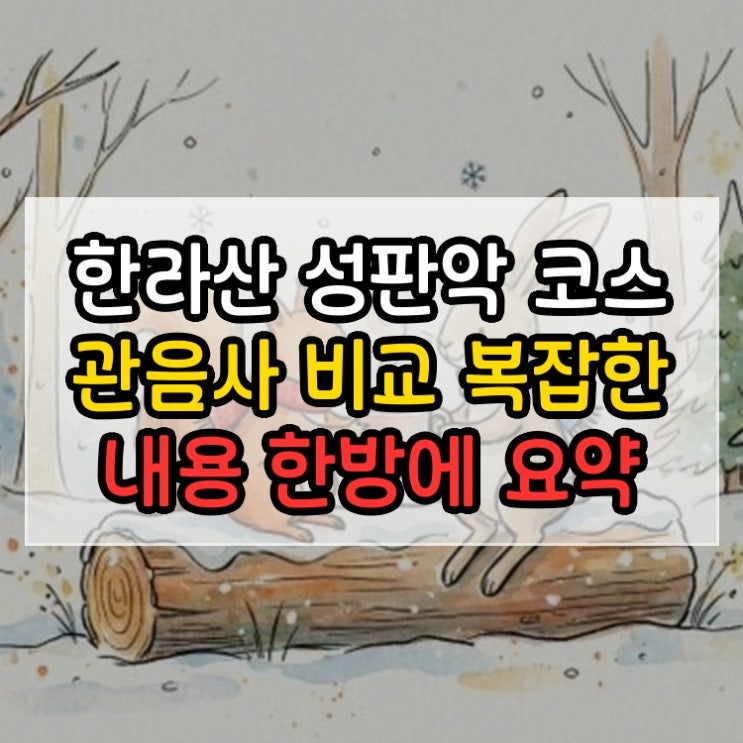  한라산 성판악 코스 관음사 비교 복잡한 내용 한방에 요약