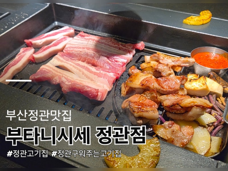 사진 3