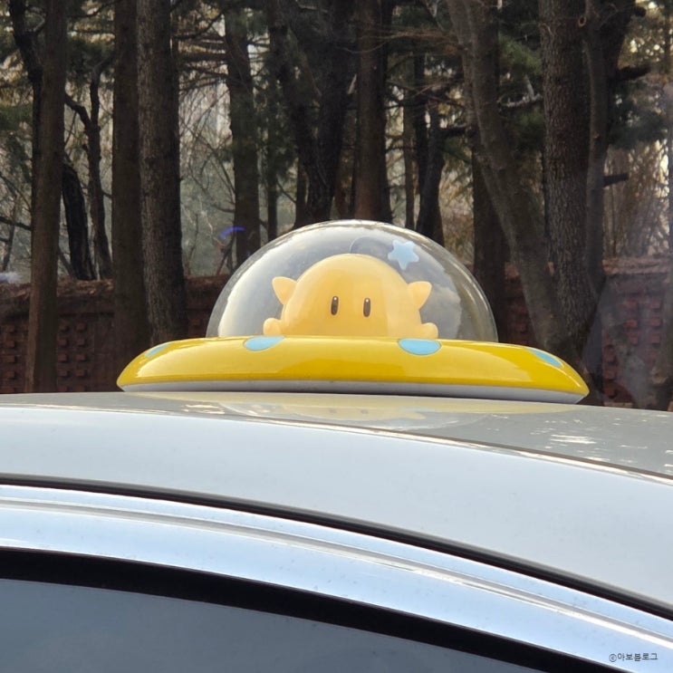  [일상] 대전은 노잼도시가 아니라 귀여운 도시다