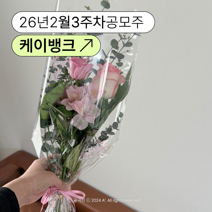  케이뱅크 청약 공모가 2월 3주차 공모주 일정