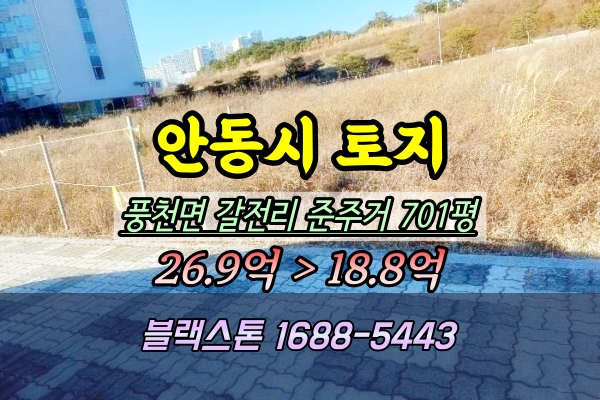  안동시 풍천면 대지 경매 갈전리토지 701평 ︎2024타경2015