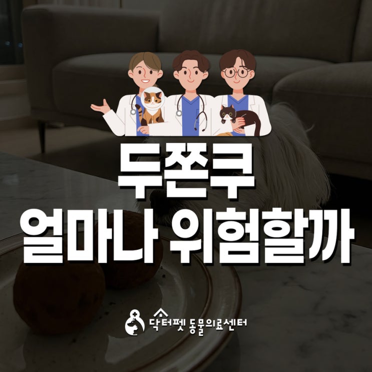  두쫀쿠 얼마나 위험할까 강아지 고양이에겐 겉쫀속독 부산 24시 동물병원