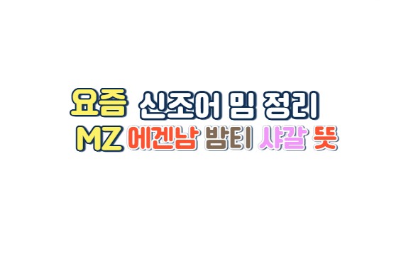  요즘 MZ 신조어 밈 정리 에겐남 밤티 샤갈 뜻