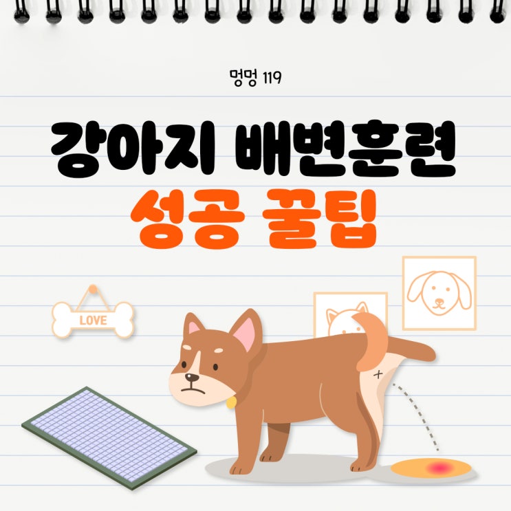  강아지 배변 훈련 성공하기, 정말 배변패드 효과 있을까요?