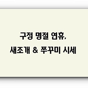 새조개 쭈꾸미 시세 총정리｜명절 모임 앞두고 지금 가격 적정할까?