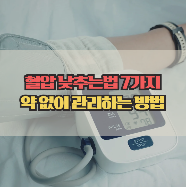  혈압 낮추는법 7가지, 약 없이 관리하는 방법 정리