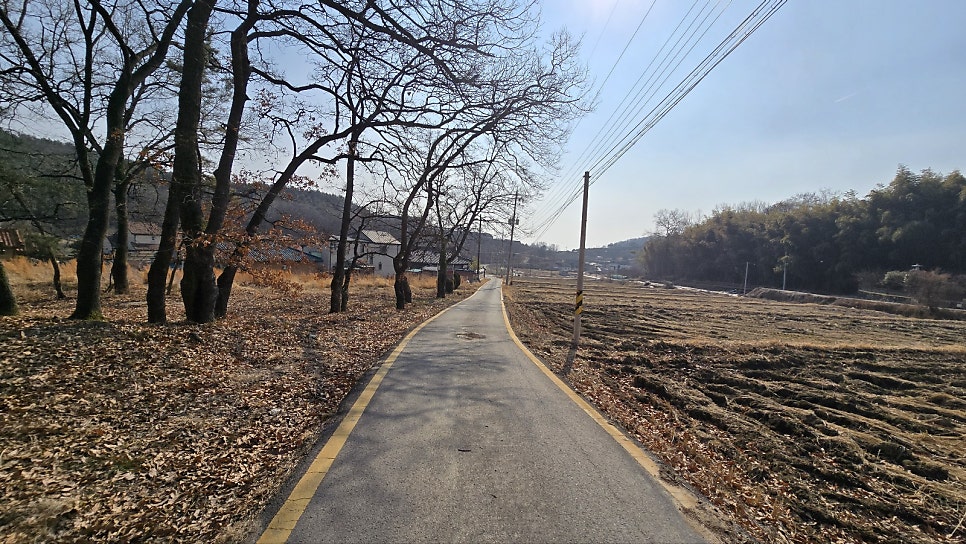 금싸라기 사진 3