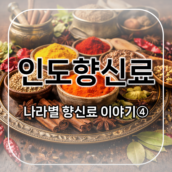  인도향신료 편 | 나라별 향신료 이야기 4 | 향의 나라, 인도의 깊은 풍미