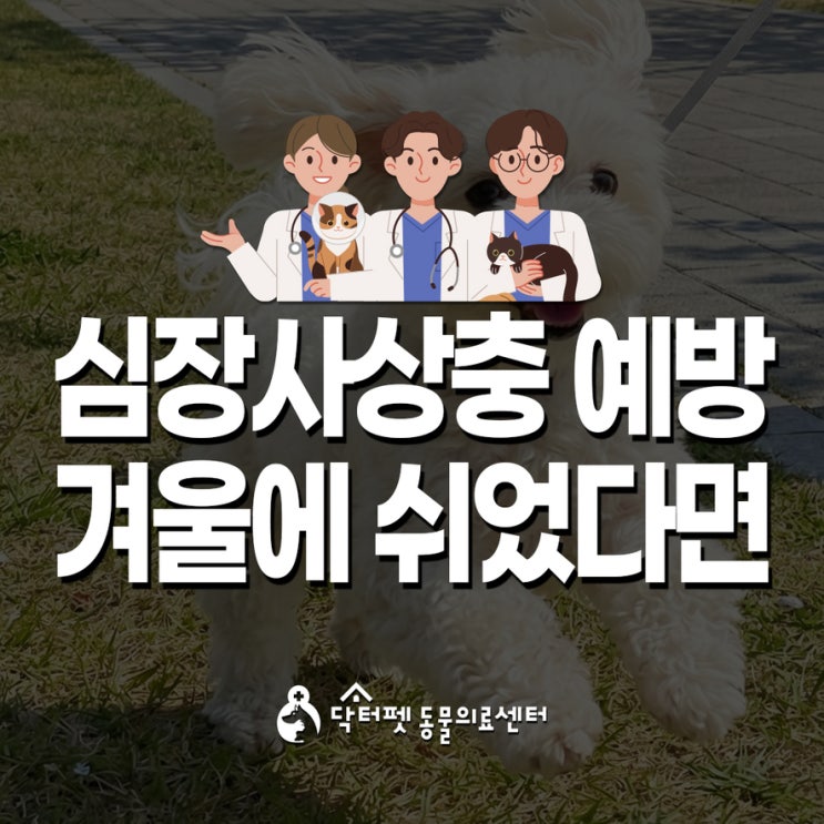  겨울엔 모기도 없는데 안 해도 되지 않아?심장사상충 예방약 독한 거 아닌가? 그 진실은?