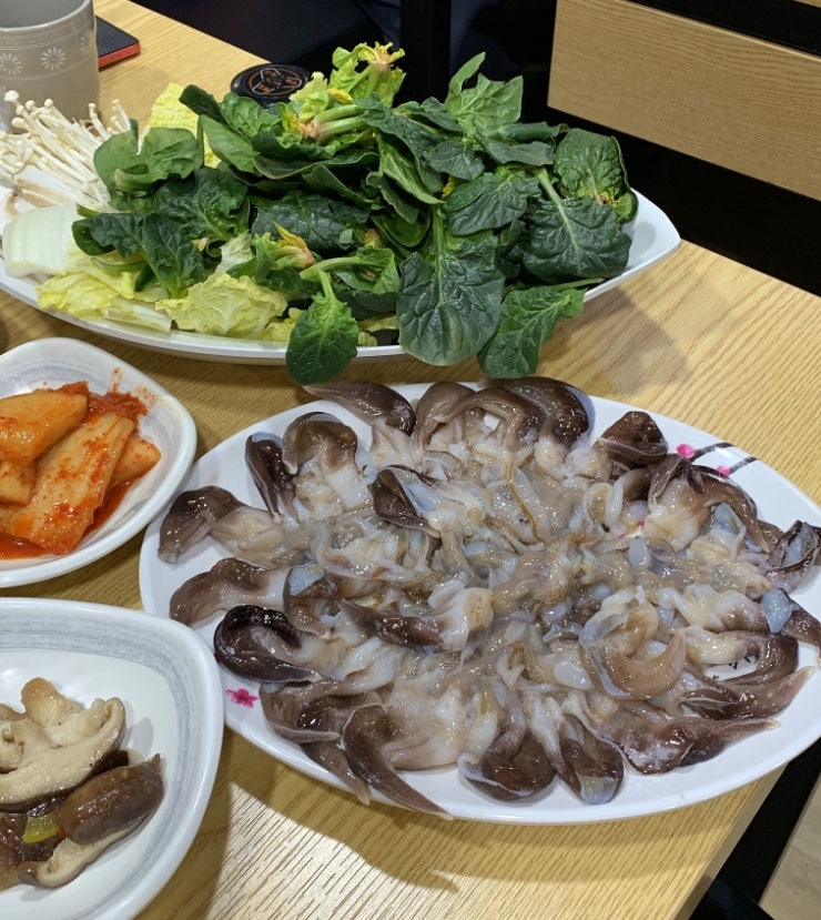 강남 대치동 '여수 오동도' 새조개 샤브샤브 맛집 (주차, 예약)
