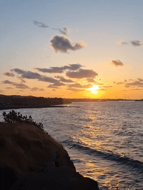  제주도 일몰 명소 애월 남도리쉼터 주차장 화장실 푸드트럭